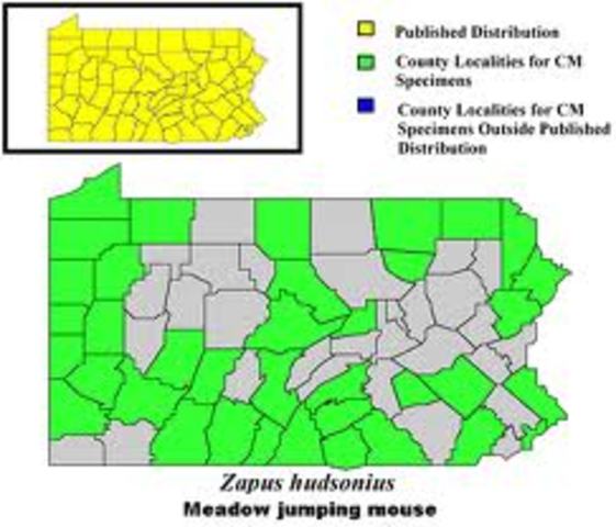 Pennsylvania was founded by Wiliam Pen why so all christains could live together in peace