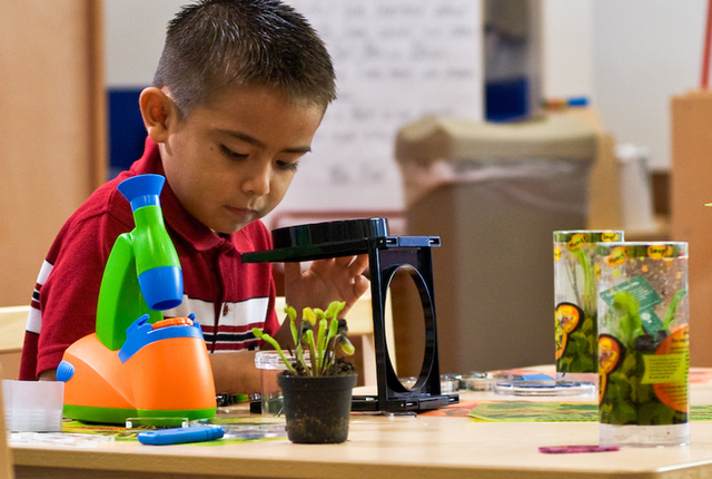 The New American Life