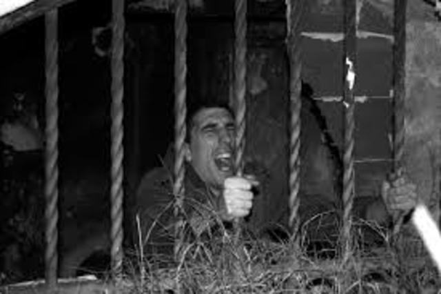 mis primeros dias de encierro