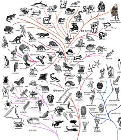 Darwin publishes On the Origin of the Species.