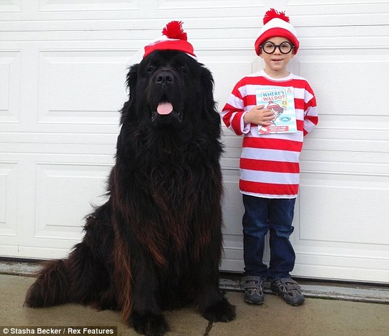 behavior early years