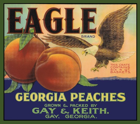 Geroiga was foundedby James Edward Ogethrope:King Gorge II gave england a charter to establish Georiga