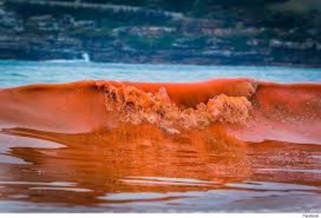 Local governments ban phosphate detergent