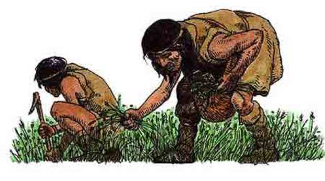 Hombres y mujeres en la Pre-historia A.C