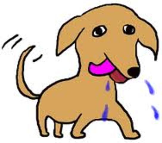 Classical Conditioning