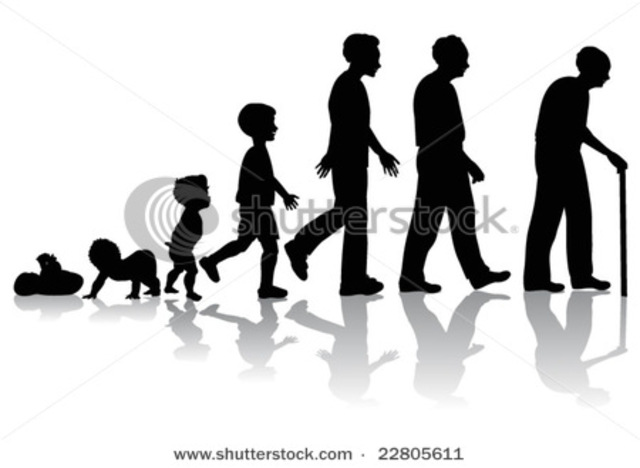 Stages of Model of Reading