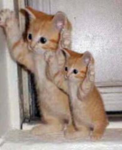 Social Learning Theory