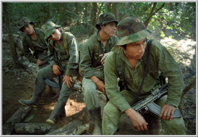 Formación de la EGP