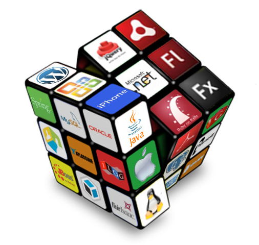 RIA (Rich Internet Application)