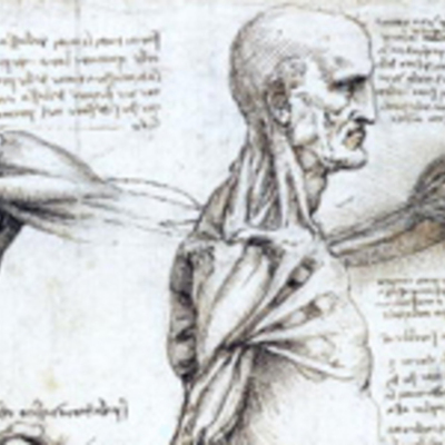 Timeline: CMS Kaia B.