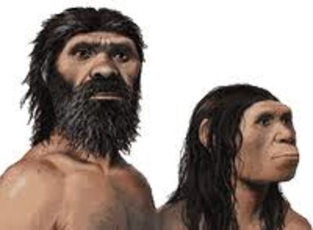 Homo heildelbergensis y Homo rhodesiensis