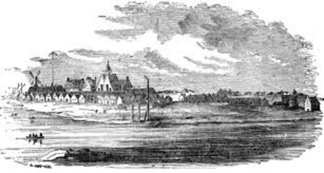 New York was made by peter minuit to make money for the other colonys