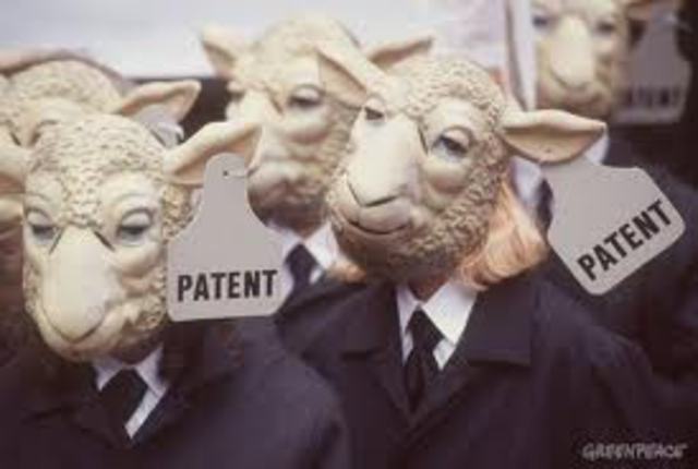 First Patent on a living organism