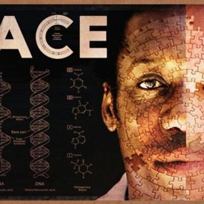 Timeline: The Devlepment of Race