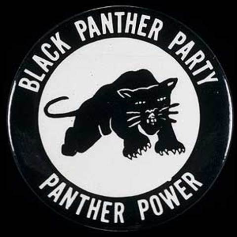 The Black Panthers