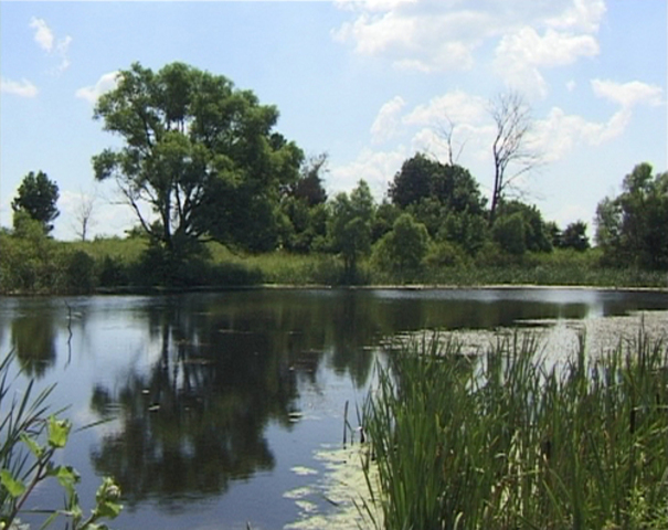 Дата рождения