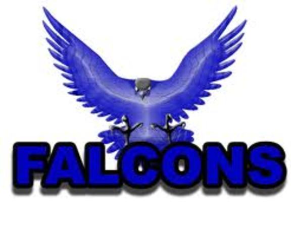 Baseball team makes it to playoffs