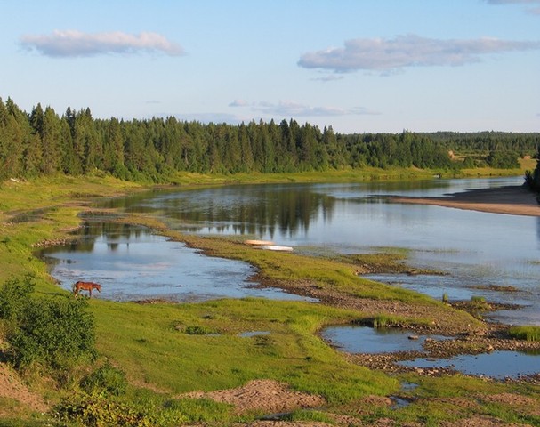 поездка на северные леса