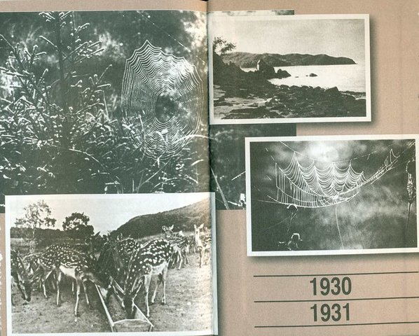 Весна, поездка на Урал по командировке редакции журнала «Наши достижения».