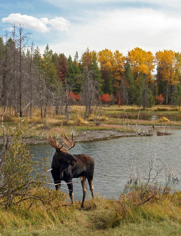 Поездка в Керженские леса