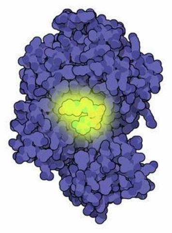 Luciferase Obtained