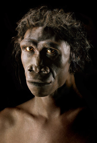Homo Erectus