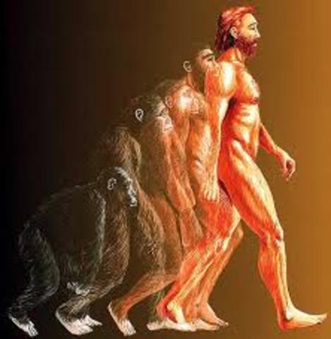 Evolución de las Especies