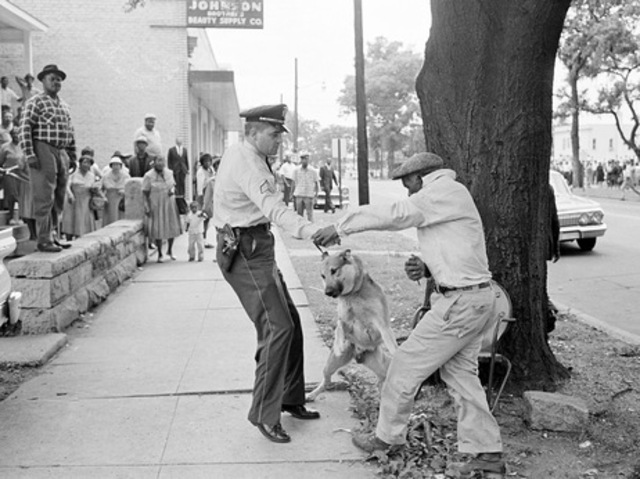Birmingham, AL protests