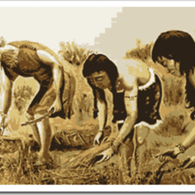 Timeline: Agricultura