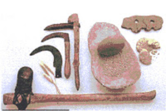 Utilizacion Herramientas