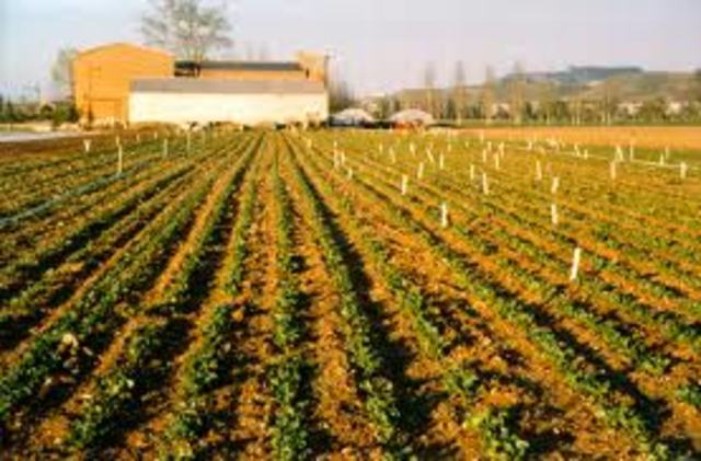 Herramientas R. Verde