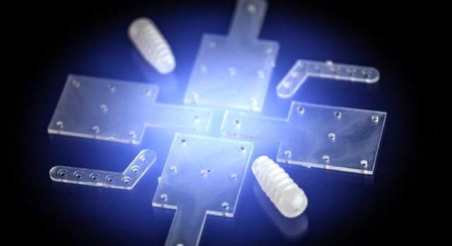 Biovidrio. Creadores Jose Ramon Sarasua y Aitor Larrañaga , País  ESpaña