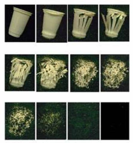 Ácido poli-láctico (PLA),en 1987 la empresa Cargill desarrollo los polímeros de ácido poliláctico.
