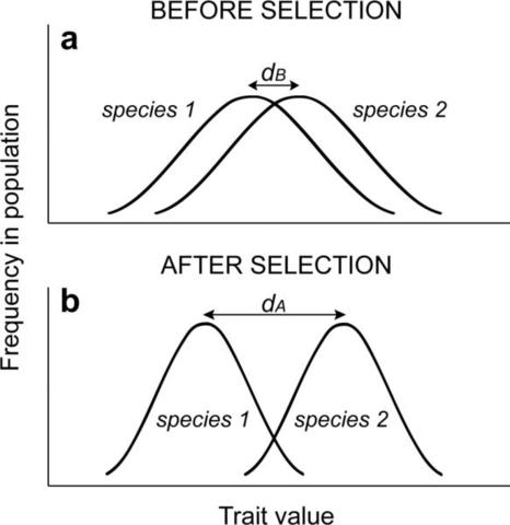 Edward Wilson - The concept of "Character Displacement"