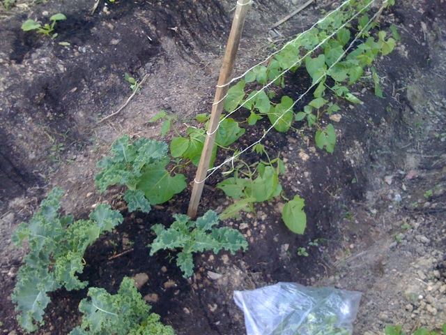 Outreach and interviews continue