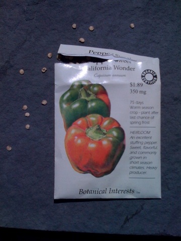 Document development