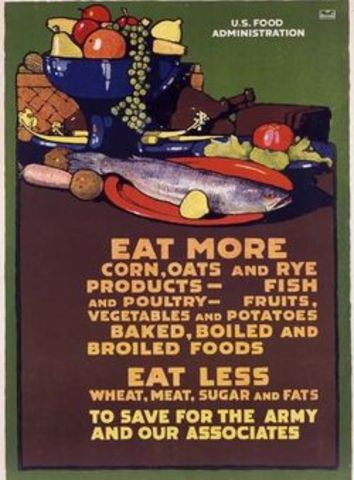 Food Administration set up under Herbert Hoover