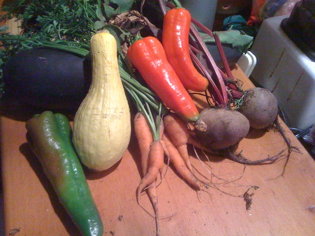 End of project check in