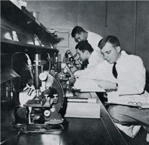 NDEA authorized education loans