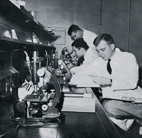 National Defence and Education Act of 1958