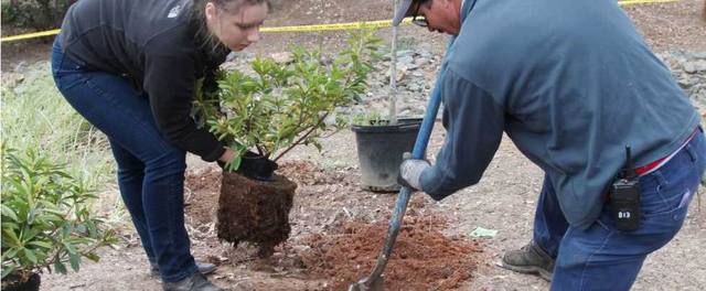 "Home Park" Beautification Day