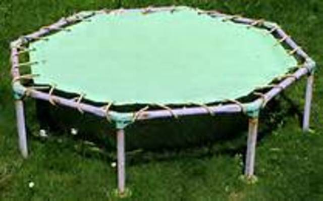 The Trampoline
