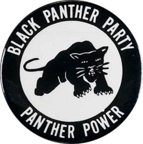 The Black Panther Party began