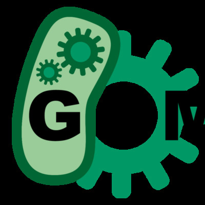 Timeline: SJ-iGEMers