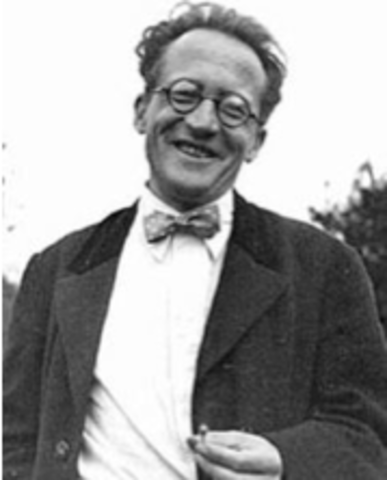 Erwin Schrodinger (1887 - 1961)
