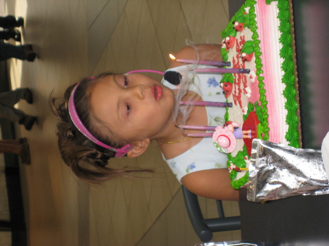 Sydney's 5th Birthday