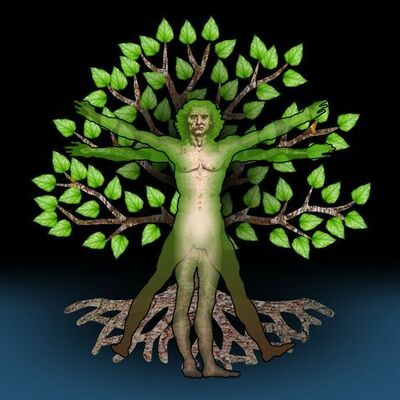 Timeline: Mod 7-8, HD--MS--LH--CK--DM