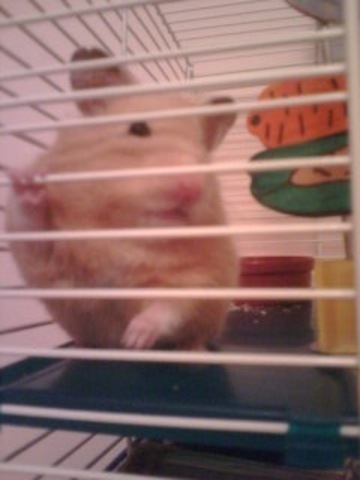 Recieved a pretty Christmas Present