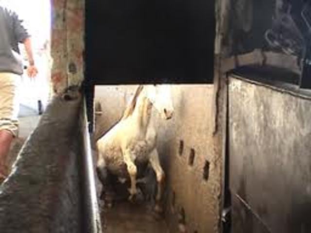 Human Consumption - NO!