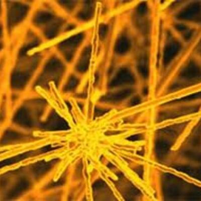 Timeline: Nuevos materiales y sus aplicaciones